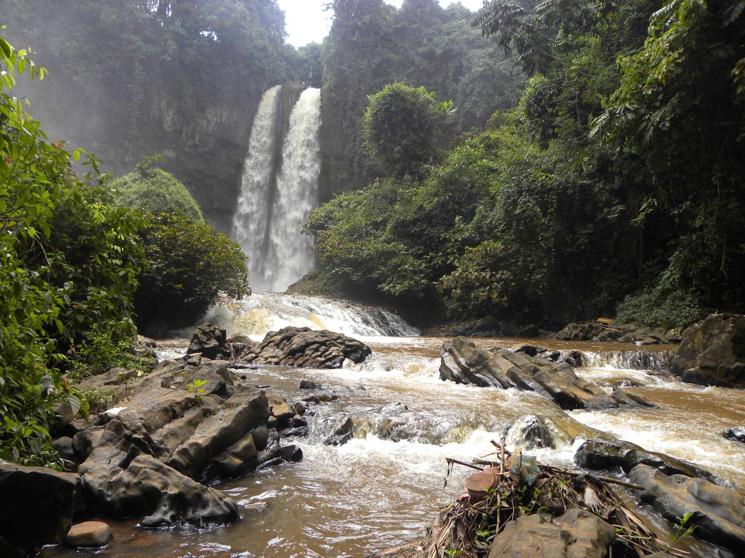 Description de l'image