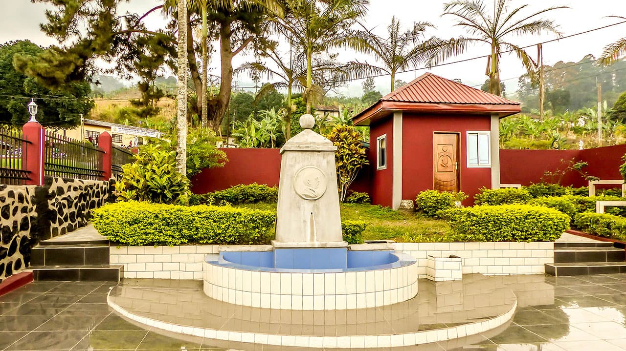 Description de l'image